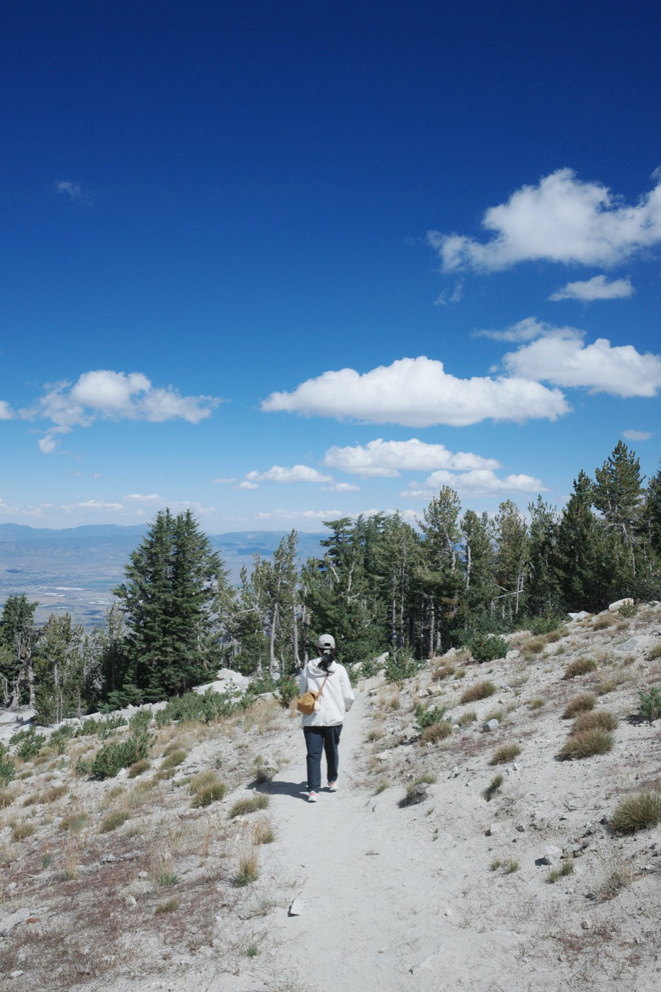 Walking a mountain trail above the tree line